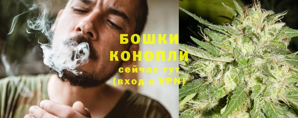 амф Карпинск