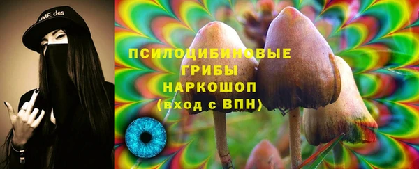 MDMA Premium VHQ Аркадак